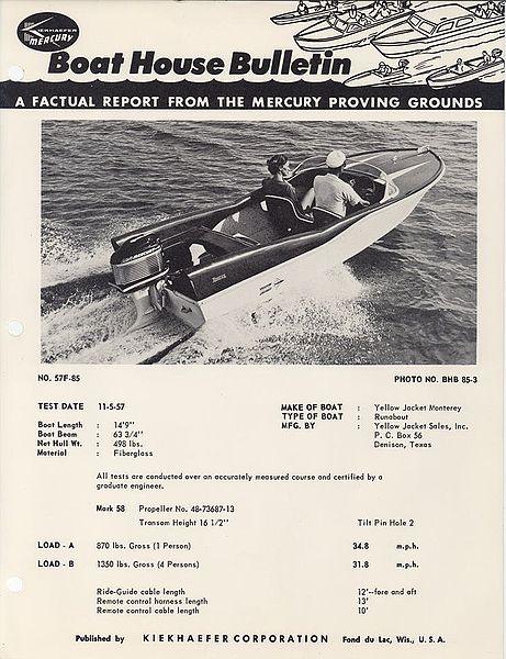 File:Yellowjacketbhb57001.jpg