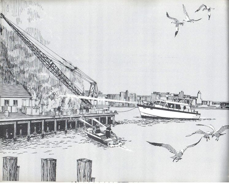File:Buehlerb62024.jpg