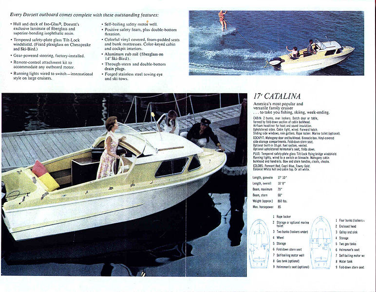 File:Dorsettb62006.jpg