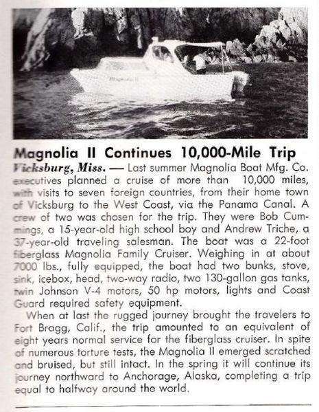 File:Magnoliaa60002.jpg