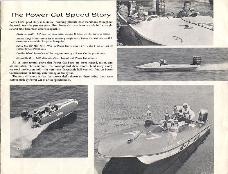 File:Powercatb64011.jpg
